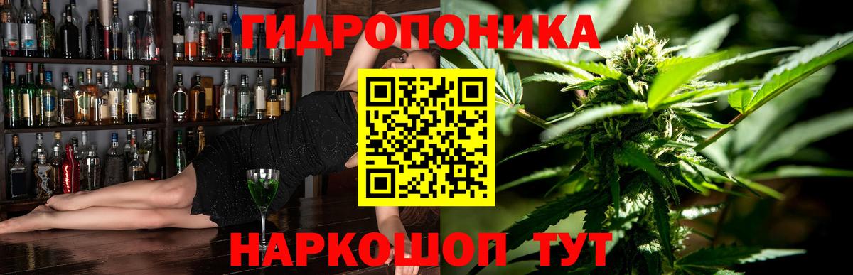 Марихуана гибрид Кашира